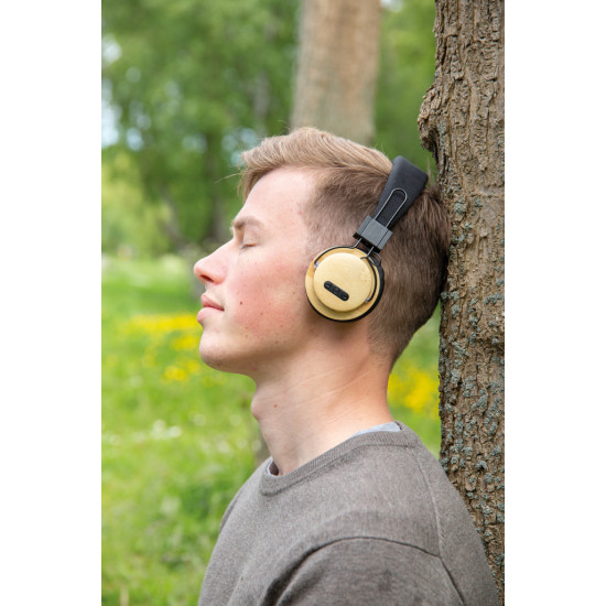 Bamboo wireless headphone